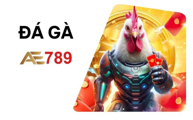 Đá gà AE789 là sản phẩm cá cược hot tại nhà cái AE789 Đá gà AE789 là sản phẩm cá cược hot tại nhà cái AE789