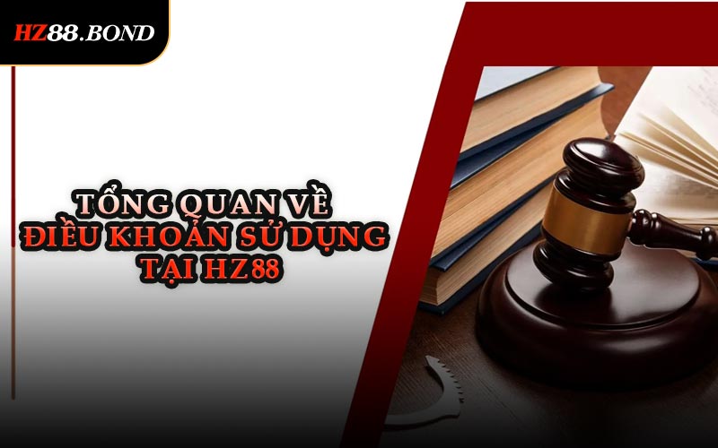Tổng Quan Về Điều Khoản Sử Dụng Tại HZ88