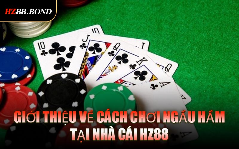 Giới Thiệu Về Cách Chơi Ngầu Hầm Tại Nhà Cái HZ88